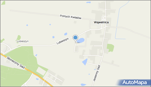 Wąwelnica, Malwiny, mapa Wąwelnica