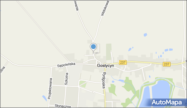 Gostycyn, Mędromierska, mapa Gostycyn