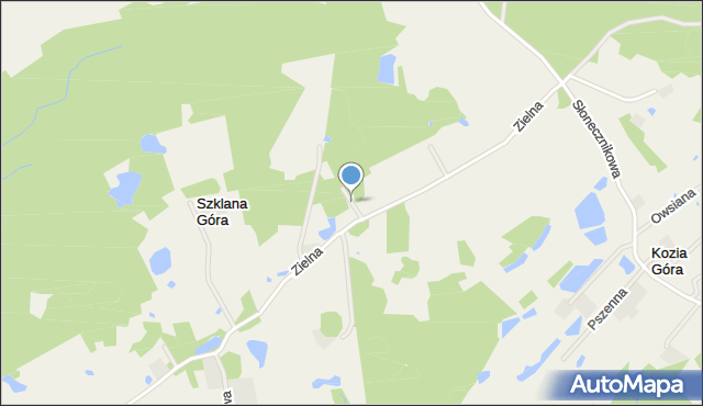 Kozia Góra gmina Przywidz, Miętowa, mapa Kozia Góra gmina Przywidz