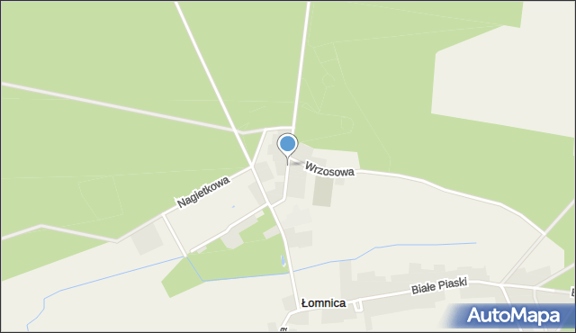 Łomnica gmina Zbąszyń, Miedzichowska, mapa Łomnica gmina Zbąszyń