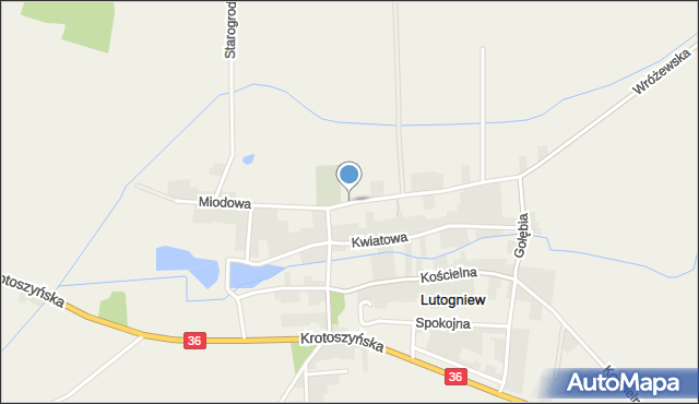 Lutogniew, Miodowa, mapa Lutogniew