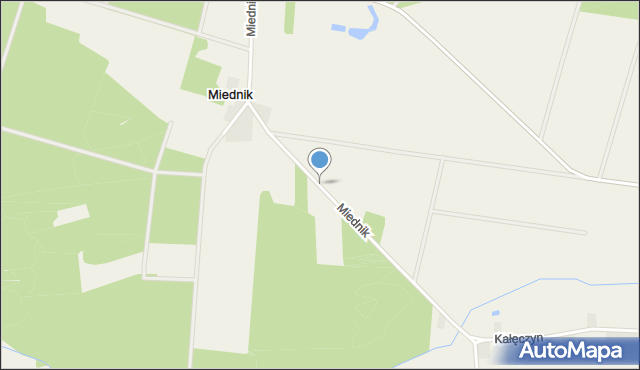 Miednik gmina Stoczek, Miednik, mapa Miednik gmina Stoczek