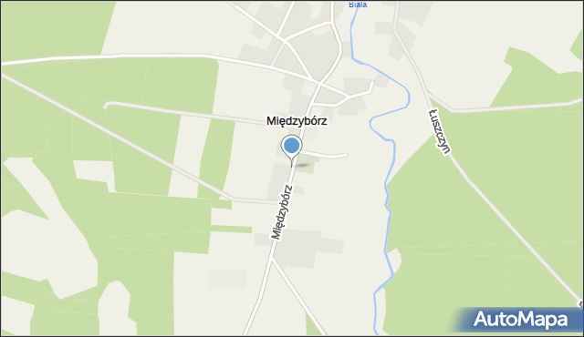 Międzybórz gmina Rzeczenica, Międzybórz, mapa Międzybórz gmina Rzeczenica