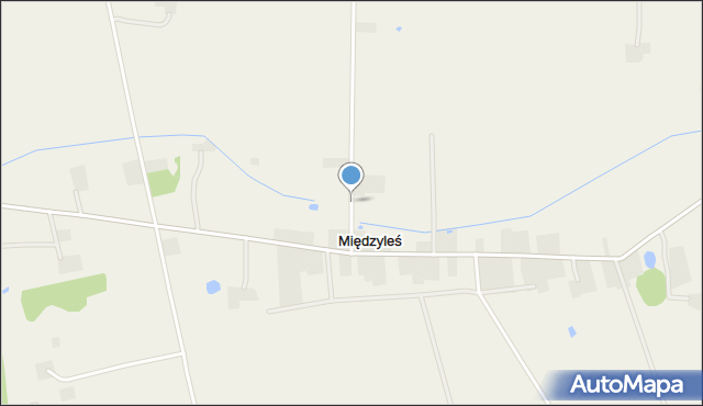 Międzyleś gmina Miedzna, Międzyleś, mapa Międzyleś gmina Miedzna
