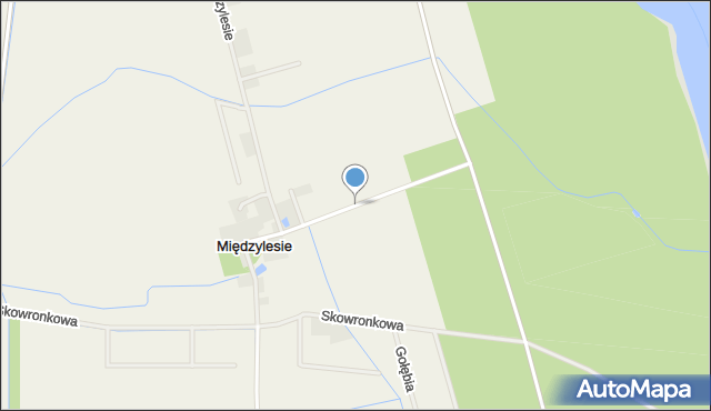 Międzylesie gmina Rogoźno, Międzylesie, mapa Międzylesie gmina Rogoźno