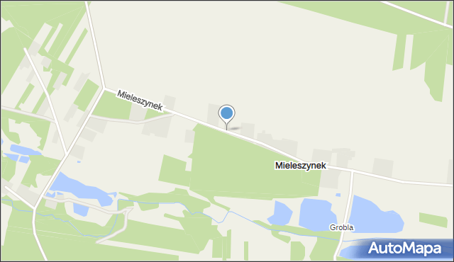 Mieleszynek, Mieleszynek, mapa Mieleszynek