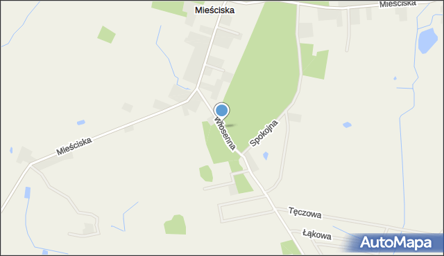 Mieściska, Mieściska, mapa Mieściska