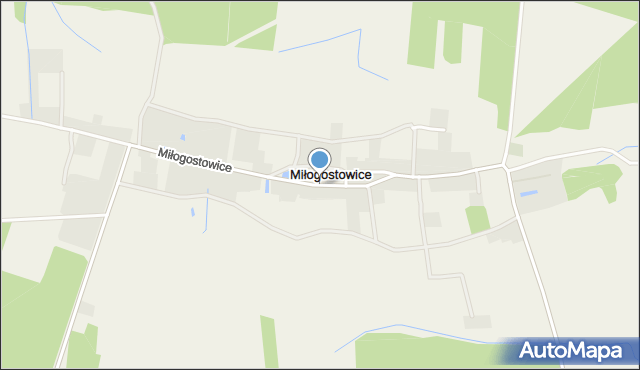 Miłogostowice, Miłogostowice, mapa Miłogostowice