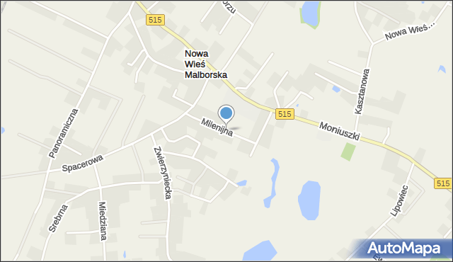 Nowa Wieś Malborska, Milenijna, mapa Nowa Wieś Malborska