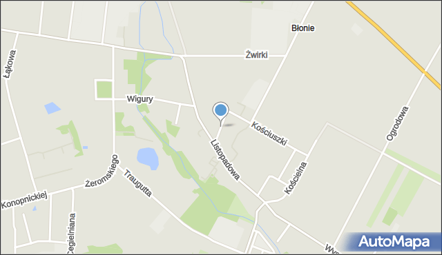 Ozorków, Mickiewicza Adama, mapa Ozorków