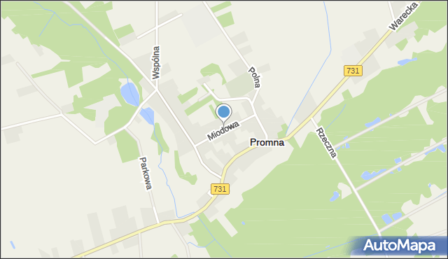 Promna, Miodowa, mapa Promna