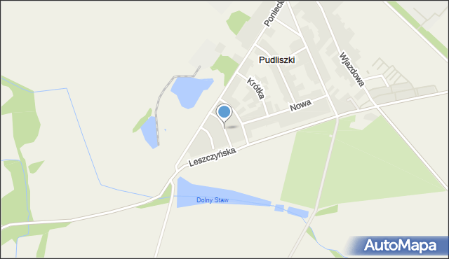 Pudliszki, Mickiewicza Adama, mapa Pudliszki