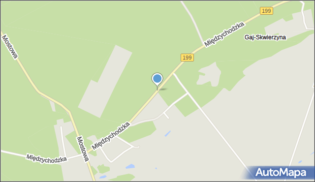 Skwierzyna, Międzychodzka, mapa Skwierzyna