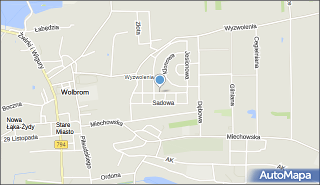 Wolbrom, Miodowa, mapa Wolbrom
