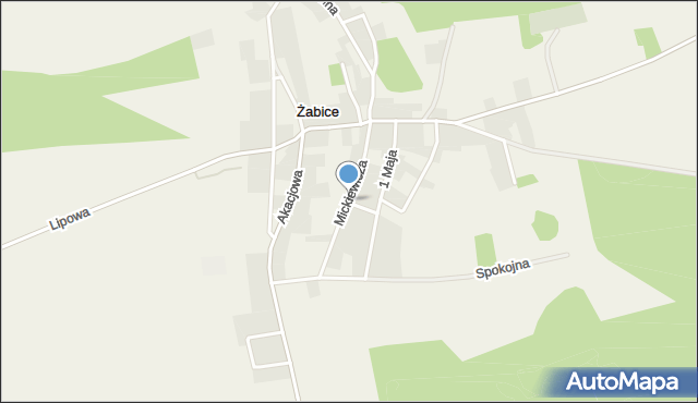 Żabice gmina Górzyca, Mickiewicza Adama, mapa Żabice gmina Górzyca