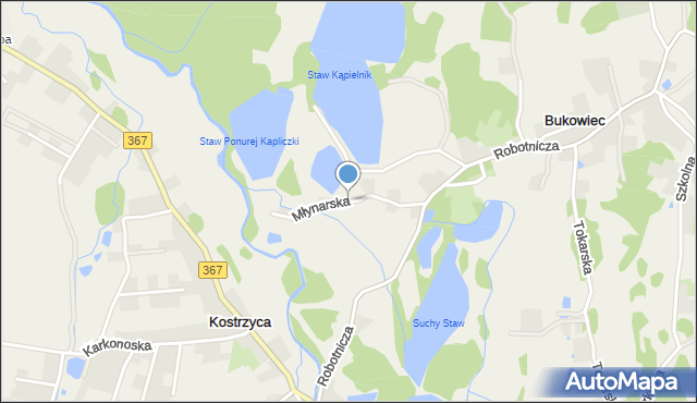 Bukowiec gmina Mysłakowice, Młynarska, mapa Bukowiec gmina Mysłakowice