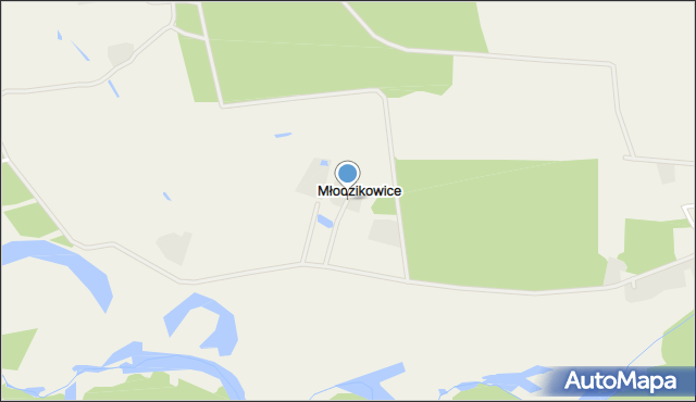 Młodzikowice, Młodzikowice, mapa Młodzikowice