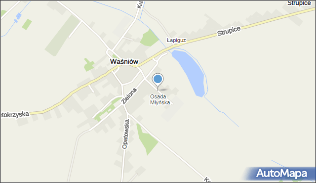 Waśniów, Młyńska, mapa Waśniów