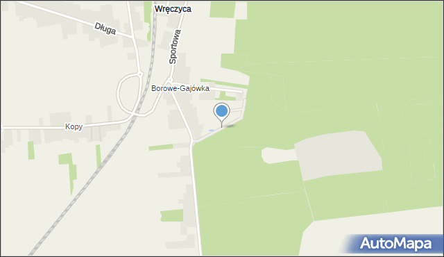 Borowe gmina Wręczyca Wielka, Modrzewiowa, mapa Borowe gmina Wręczyca Wielka