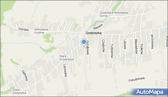 Godziszka gmina Buczkowice, Modrzewiowa, mapa Godziszka gmina Buczkowice