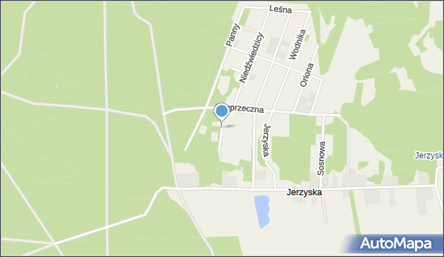 Jerzyska, Modrzewiowa, mapa Jerzyska