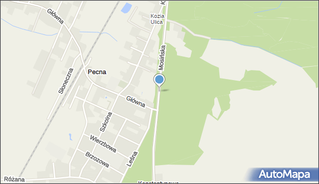 Konstantynowo gmina Mosina, Mosińska, mapa Konstantynowo gmina Mosina