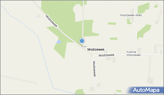 Modrzewek gmina Wolbórz, Modrzewek, mapa Modrzewek gmina Wolbórz