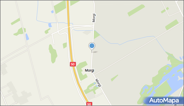 Morgi gmina Wiskitki, Morgi, mapa Morgi gmina Wiskitki