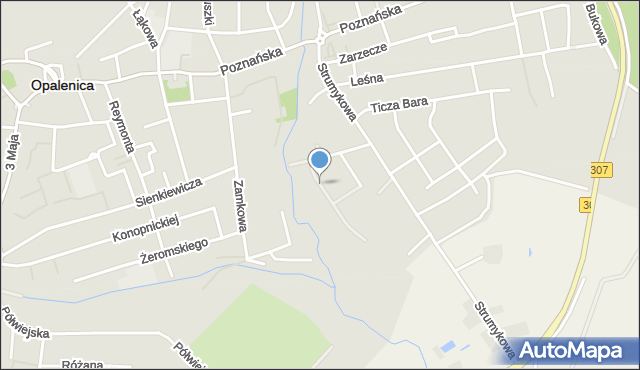 Opalenica powiat nowotomyski, Mostowa, mapa Opalenica powiat nowotomyski