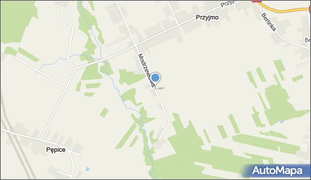 Przyjmo, Modrzewiowa, mapa Przyjmo