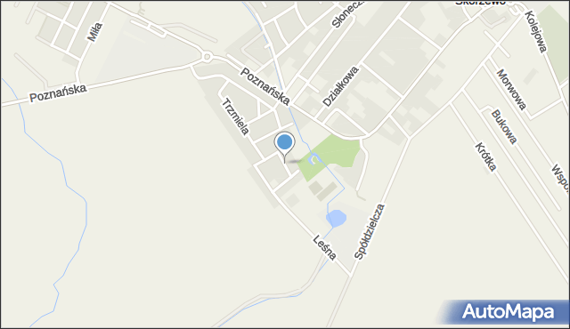 Skórzewo gmina Dopiewo, Motylka, mapa Skórzewo gmina Dopiewo