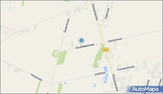 Suszno, Modrzewiowa, mapa Suszno