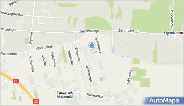 Tuszynek Majoracki, Morelowa, mapa Tuszynek Majoracki
