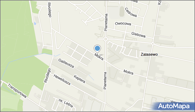 Zalasewo, Mokra, mapa Zalasewo