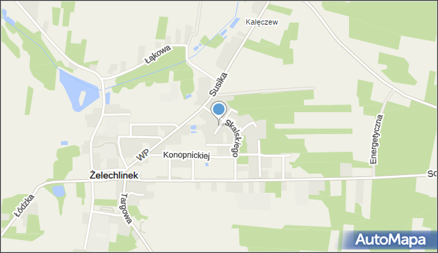 Żelechlinek, Modrzewiowa, mapa Żelechlinek