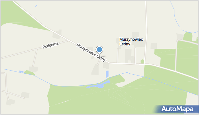 Murzynowiec Leśny, Murzynowiec Leśny, mapa Murzynowiec Leśny