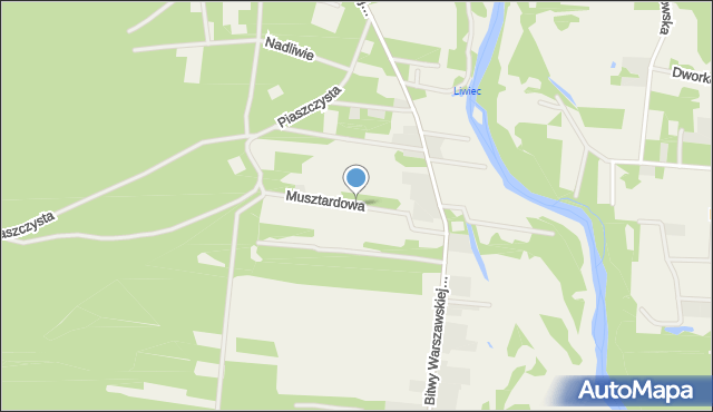 Strachów gmina Jadów, Musztardowa, mapa Strachów gmina Jadów