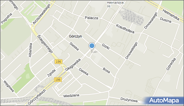 Poznań, Myśliwska, mapa Poznania