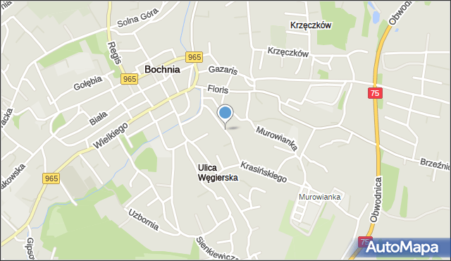Bochnia, Nad Babicą, mapa Bochni