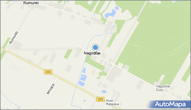 Nagodów gmina Gostynin, Nagodów, mapa Nagodów gmina Gostynin