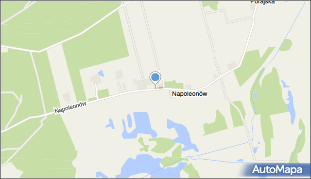 Napoleonów gmina Kamieńsk, Napoleonów, mapa Napoleonów gmina Kamieńsk