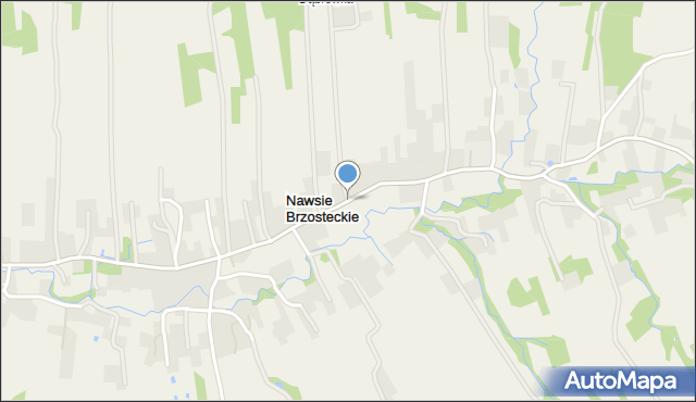 Nawsie Brzosteckie, Nawsie Brzosteckie, mapa Nawsie Brzosteckie