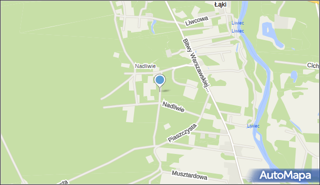 Strachów gmina Jadów, Nadliwie, mapa Strachów gmina Jadów