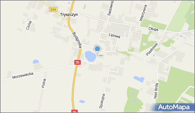 Tryszczyn, Nad Stawem, mapa Tryszczyn