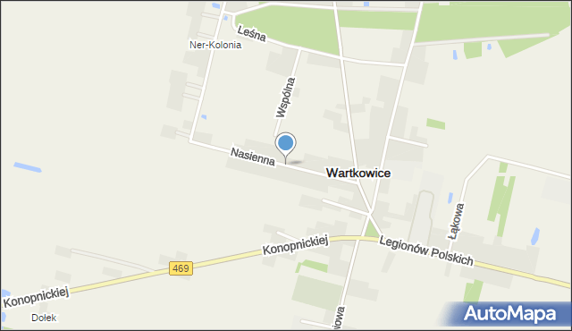 Wartkowice, Nasienna, mapa Wartkowice