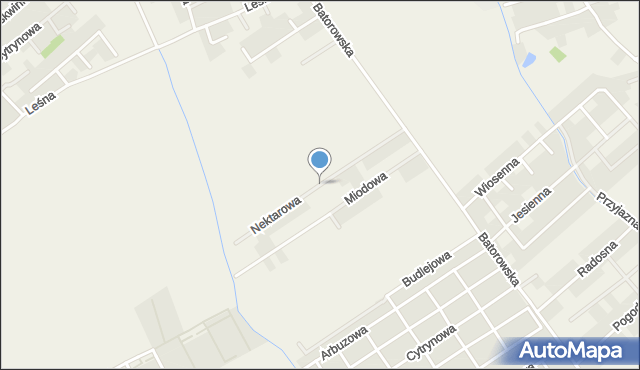 Skórzewo gmina Dopiewo, Nektarowa, mapa Skórzewo gmina Dopiewo