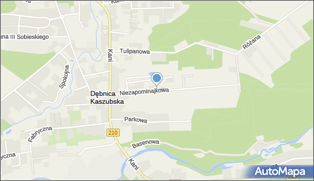 Dębnica Kaszubska, Niezapominajkowa, mapa Dębnica Kaszubska