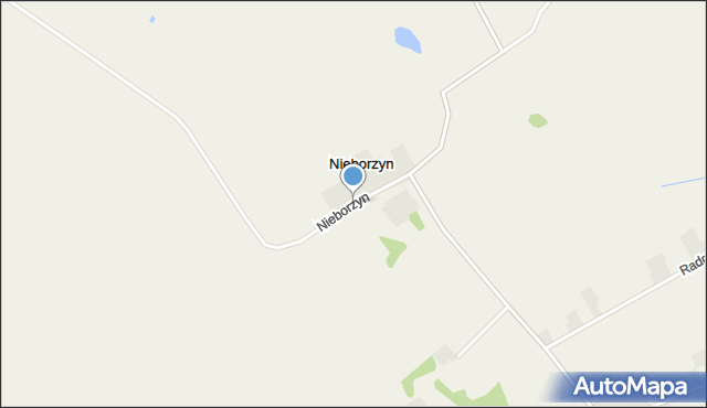 Nieborzyn gmina Grudusk, Nieborzyn, mapa Nieborzyn gmina Grudusk