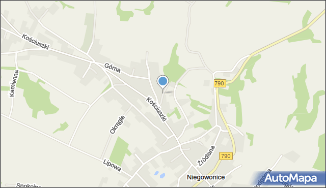 Niegowonice, Niska, mapa Niegowonice