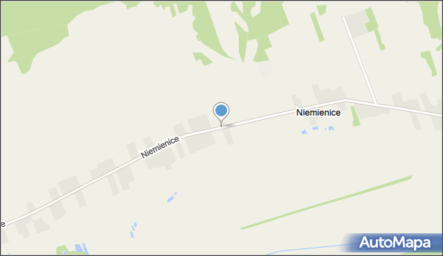 Niemienice gmina Krasnystaw, Niemienice, mapa Niemienice gmina Krasnystaw